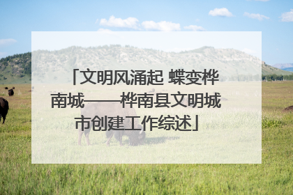 文明风涌起 蝶变桦南城——桦南县文明城市创建工作综述