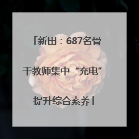 新田：687名骨干教师集中“充电” 提升综合素养