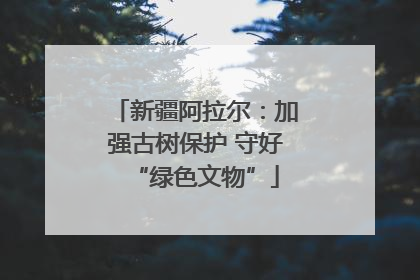 新疆阿拉尔：加强古树保护 守好“绿色文物”