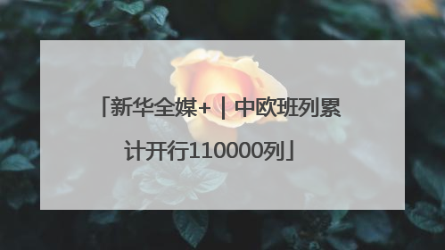 新华全媒+｜中欧班列累计开行110000列
