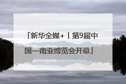 新华全媒+丨第9届中国—南亚博览会开幕