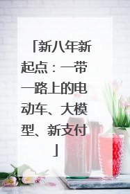 新八年新起点：一带一路上的电动车、大模型、新支付