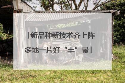 新品种新技术齐上阵 多地一片好“丰”景