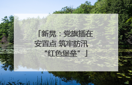 新晃：党旗插在安置点 筑牢防汛“红色堡垒”