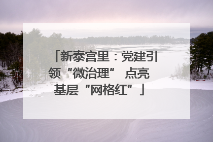 新泰宫里：党建引领“微治理” 点亮基层“网格红”