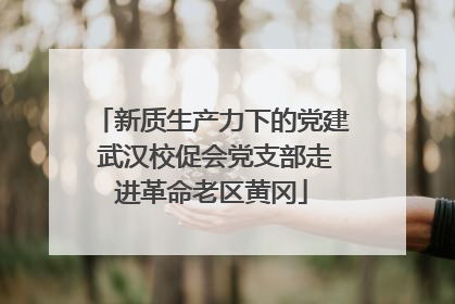 新质生产力下的党建 武汉校促会党支部走进革命老区黄冈