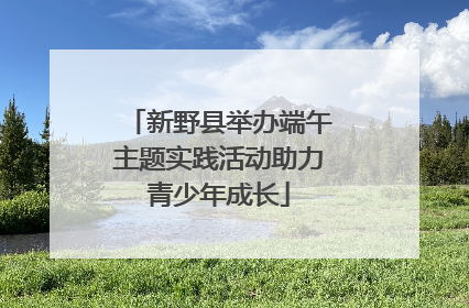 新野县举办端午主题实践活动助力青少年成长