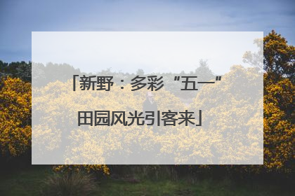 新野：多彩“五一” 田园风光引客来