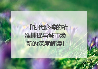 时代脉搏的精准捕捉与城市焕新的深度解读