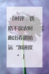 时评：铁路不误农时跑出春耕抢运“加速度”