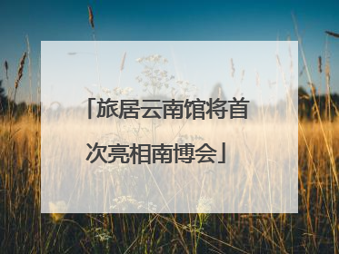 旅居云南馆将首次亮相南博会