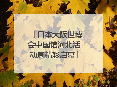 日本大阪世博会中国馆河北活动周精彩启幕