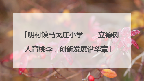 明村镇马戈庄小学——立德树人育桃李，创新发展谱华章