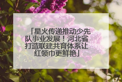 星火传递推动少先队事业发展！河北省打造联建共育体系让红领巾更鲜艳