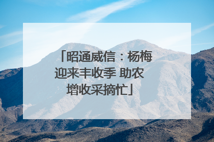 昭通威信：杨梅迎来丰收季 助农增收采摘忙