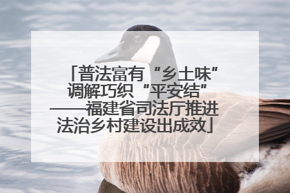 普法富有“乡土味” 调解巧织“平安结”——福建省司法厅推进法治乡村建设出成效