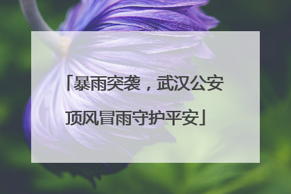 暴雨突袭，武汉公安顶风冒雨守护平安