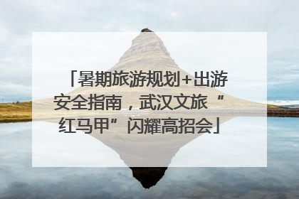 暑期旅游规划+出游安全指南，武汉文旅“红马甲”闪耀高招会