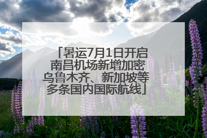 暑运7月1日开启 南昌机场新增加密乌鲁木齐、新加坡等多条国内国际航线