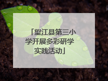 望江县第三小学开展多彩研学实践活动
