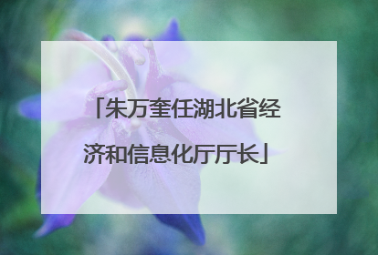 朱万奎任湖北省经济和信息化厅厅长