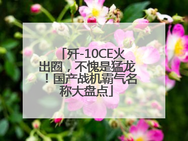 歼-10CE火出圈，不愧是猛龙！国产战机霸气名称大盘点