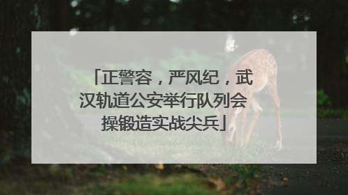 正警容，严风纪，武汉轨道公安举行队列会操锻造实战尖兵