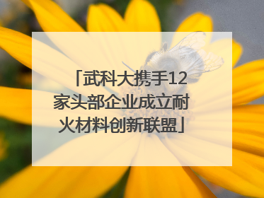 武科大携手12家头部企业成立耐火材料创新联盟