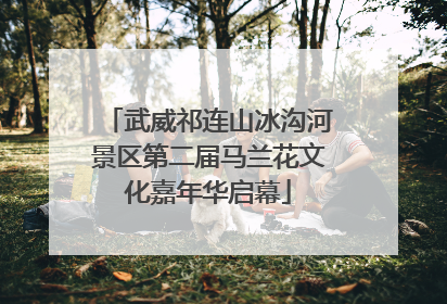 武威祁连山冰沟河景区第二届马兰花文化嘉年华启幕