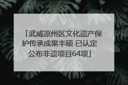 武威凉州区文化遗产保护传承成果丰硕 已认定公布非遗项目64项