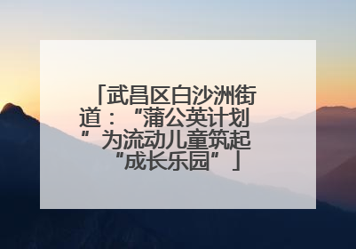 武昌区白沙洲街道：“蒲公英计划”为流动儿童筑起“成长乐园”