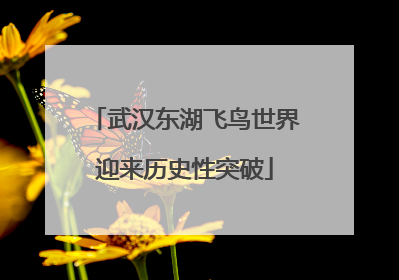武汉东湖飞鸟世界迎来历史性突破