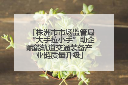 株洲市市场监管局“大手拉小手”助企赋能轨道交通装备产业链质量升级