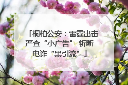 桐柏公安：雷霆出击严查“小广告” 斩断电诈“黑引流”