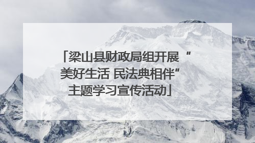 梁山县财政局组开展“美好生活 民法典相伴”主题学习宣传活动