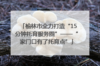 榆林市全力打造“15分钟托育服务圈”——“家门口有了托育点”
