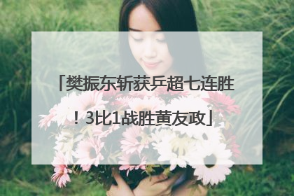 樊振东斩获乒超七连胜！3比1战胜黄友政