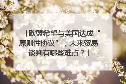 欧盟希望与美国达成“原则性协议”，未来贸易谈判有哪些难点？