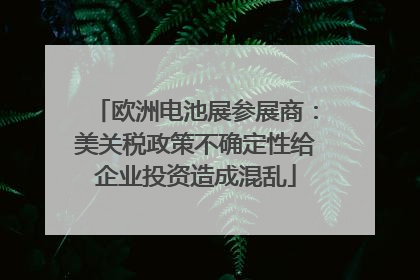 欧洲电池展参展商：美关税政策不确定性给企业投资造成混乱
