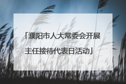 濮阳市人大常委会开展主任接待代表日活动