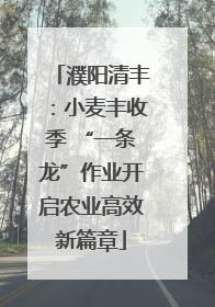 濮阳清丰：小麦丰收季 “一条龙”作业开启农业高效新篇章