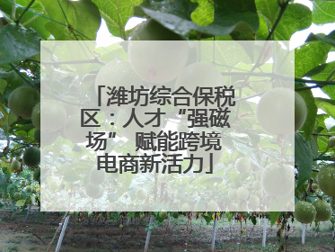 潍坊综合保税区：人才“强磁场” 赋能跨境电商新活力