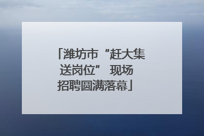潍坊市“赶大集 送岗位” 现场招聘圆满落幕