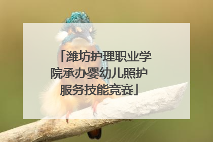 潍坊护理职业学院承办婴幼儿照护服务技能竞赛