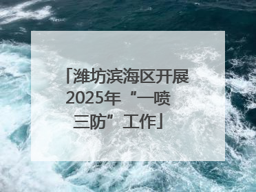 潍坊滨海区开展2025年“一喷三防”工作