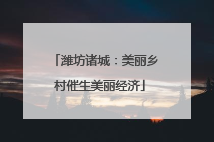 潍坊诸城：美丽乡村催生美丽经济