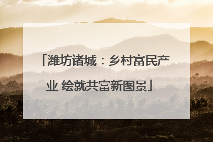 潍坊诸城：乡村富民产业 绘就共富新图景