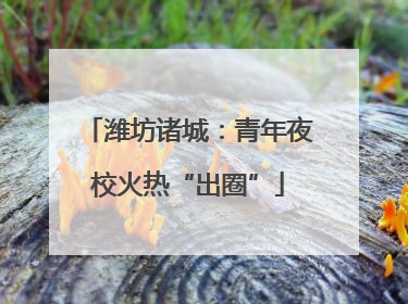 潍坊诸城：青年夜校火热“出圈”