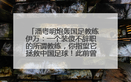 潘粤明炮轰国足教练伊万：一个装傻不辞职的所谓教练，你指望它拯救中国足球！此前曾多次发文评价国足