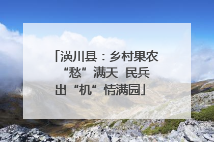 潢川县：乡村果农“愁”满天  民兵出“机”情满园